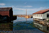 Le isole Lofoten Norvegia. Nei pressi di Andenes (Andoya) alla luce del sole di mezzanotte.